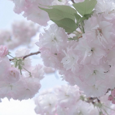 兽设零基础绘画教程兽圈社群