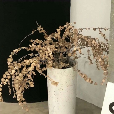 兽设线稿临摹素材兽圈社群